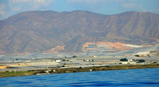 Staklenici Sierra Nevade